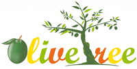 Olive Tree Hostel